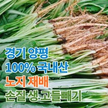 산지직송 양평 생 노지 고들빼기 2kg 4kg, 1개