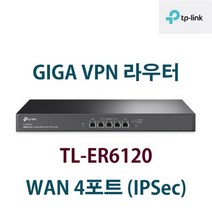 TP-LINK 티피링크 TL-ER6120 듀얼 WAN 기가비트 4포트 방화벽 VPN 라우터