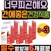 엉겅퀴 너무피곤해요 간에좋은 건강식품 밀크씨슬 미네랄 엉겅퀴효능 추출물 간에좋은영양제 건강한간 실리마린 스트레스영양제 밀크 간케어 건강관리 50대 60대 70대 80대 여자 여성