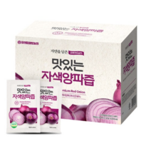 참앤들황토농원 자연을 담은 맛있는 자색양파즙, 100ml, 300개입