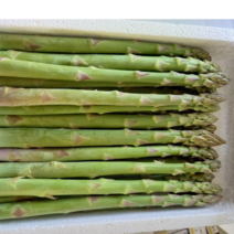 국산 강원도 화천 생 아스파라거스 산지직송 정품 가정용 1kg, 가정용 비품_사이즈 혼합 1kg, 1개