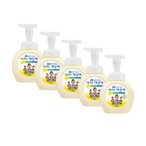 아이깨끗해 핸드워시 용기 순 250ml X 5개 거품 손세정제