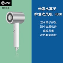 샤오미드라이기 H500 음이온 헤어드라이어 고출력, 1번