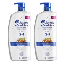 헤드앤숄더 2in1 드라이 스캘프 케어 안티 댄드러프 비듬 샴푸 950ml 2개