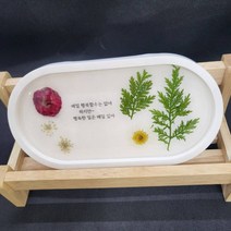 수성아크릴 레진으로만든 압화트레이