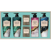 LG생활건강 2023년 추석 선물세트 생활의 감동 샴푸&바디세트, 4개