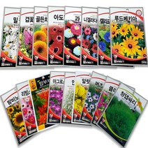 꽃 씨앗 허브씨 사계절 다년생 꽃씨 야생화 종자 씨앗 150여종, 74.적뎁싸리(1g)
