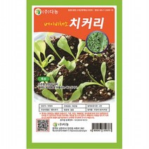 베이비(샐러드)치커리씨앗 10g