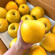 냥냥이네 시나노골드 가정용 중과 10-12과 3kg, 1, 본상품선택