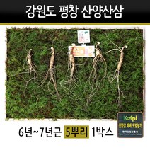 산양삼 선물세트 강원도 평창 야생삼 장뇌삼 6년근 7년근 동인발효삼 선물용 효도선물, 1set