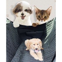 고양이 강아지 대형견 반려견 애견 펫 하우스 우당탕 가제트 자동차 카시트 이동가방, 그레이