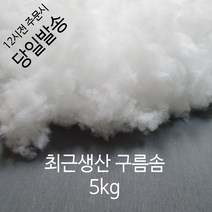 타니티엔엠 인형 쿠션 베개 구름솜 1kg, 1개