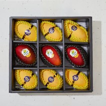 애플망고 골드망고 과일선물세트 명절선물, 골드망고선물세트 9과 내외 2.8kg내외