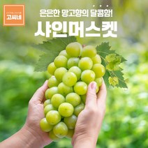 고씨네 프리미엄 샤인머스켓1kg 포도 샤인머스켓효능, 본상품