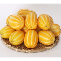 성주 참외 가정용 아삭 꿀 참외 신선도 관리철저 산지직송, 가정용참외 주문5 중과3kg