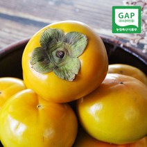 [생산자직송] 창원 부유 단감(중) 5kg, 단품