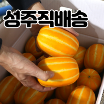 내고향농수산 참외 성주참외 직거래 꿀참외 특등품 2kg 3kg 5kg 10kg, 성주 참외 10kg, 1개