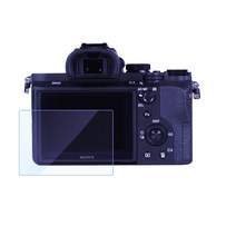 2개/몫 스크린 A6300 A99 A77 A7III A7rM3 RX10 WX350 Ax100e Axp55, 01 RX100 RX100M234 A7M