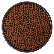 케이웰니스 국내산 왕느릅나무껍질 환 느릅나무 환, 1개, 1.2kg