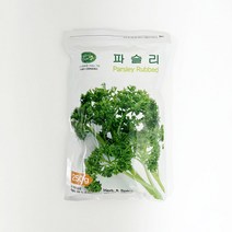 파슬리, 250g, 1개