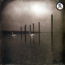 LP판 미국 Om Conference Of The Birds 보라색 레코드판 투명 LP RE