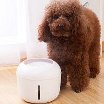 펫츠타운 마카롱 옹달샘 정수기 2.5L 강아지 고양이 급수기, 화이트