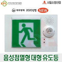 음성점멸 대형 유도등 피난구유도장치 시청각경보 LED 벽부설치형