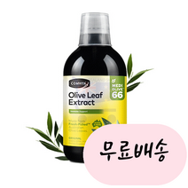 [콤비타]-M2-COMVITA 올리브잎 추출액 오리지널/페퍼민트/믹스베리 3. 믹스베리 올리브추출액 500ml, 1개
