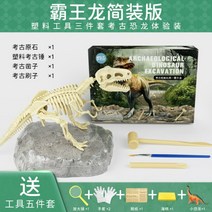 공룡 화석 발굴 장난감 공룡뼈 티라노, E