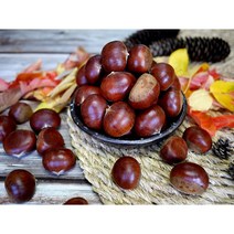 옥광밤/임금님 진상밤/1kg 2kg 4kg, 옥광(대)4kg, 1개