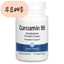 레이크애비뉴뉴트리션 커큐민 Curcumin 95 500m.g 30, 1개, 30정, 30정