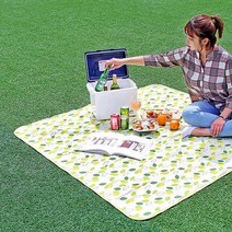 워터파크 여의도피크닉 한강돗자리 데이트 1061, 스트라이프