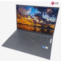 LG 17그램 i5-11th 768GB 8GB 17인치 최신형그램