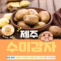 해풍맞은 청정 제주도 국내산 수미감자 특대 5kg 10kg 20kg 햇감자 농산물 감자요리 감자튀김 감자칩 러셋감자 두백감자 씨감자 제주도감자 하지감자 유기농감자 개진감자 분감자, 1박스