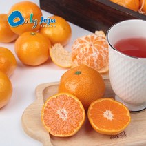 제주 노지 감귤 실중량 9kg, 귤9kg(2S/꼬마소과)