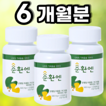 순환엔 약사가 만든 프리미엄 혈액순환영양제 은행잎추출물 마그네슘, 120정, 3개