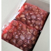 꼭지네 햇 약단밤 군밤용 칼집 생밤 칼집밤 1kg 3kg, 칼집 약단밤 1kg