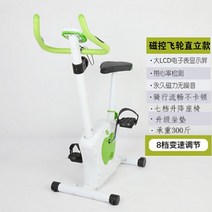 미니실내자전거 엑스바이크 실내 페달 바이크 사이클, 에메랄드 그린 높이 1.35 일반 이상