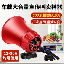 확성기마이크 메가폰 싸이렌 확성기 녹음용 거리 홍보용 앰프, 1.자동차 담배 라이트