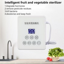과일 초음파 세척기 야채 고추 110V 220V 과일 및 야채 소독 오존 농업 잔류 물 제거 가정 세척 음식 유지, 01 미국_02 220V