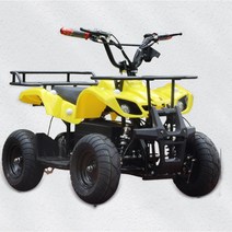 전동 미니 충전식 사륜 오토바이 36V48V, 옵션1번 36V 800W