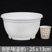 원분재 화분 화이트 중형 - 골분 분재 식물 플분 원형화분 분배분 재배분 분갈이 인테리어 베란다 화분, 04_세인_원분재(화이트)-소형