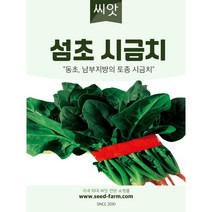 섬초 시금치씨앗 (20g)-동초 남부지방 토종시금치 씨앗