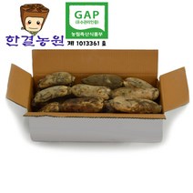 gap연근 추천 순위 모음 70