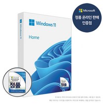 ★1만원즉시할인★마이크로소프트 Windows 11 Home (FPP 한글 USB), 1개, 선택하세요