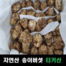송이버섯 자연산 냉동송이버섯 터키산, 조각, 조각 500g