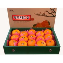 제주도 레드향 한라봉 3 kg 5 키로 10 kg 설 선물세트 가정용, 중과 10 kg (50 과 내외)