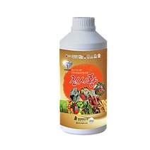 진시황 수용성규산염 유황 친환경 살균제 천연수용성규산염 명전바이오, 200ml, 1개