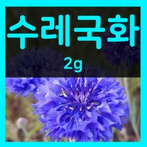 꽃씨몰 꽃씨 봄 파종 여름꽃씨 가을 노지월동 다년생 야생화 양귀비 종자 꽃씨앗, 4.수레국화 2g(1~2년생)