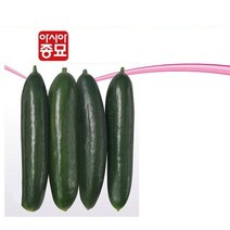 오이씨앗 아시아미인 10립 오이종자, 8개